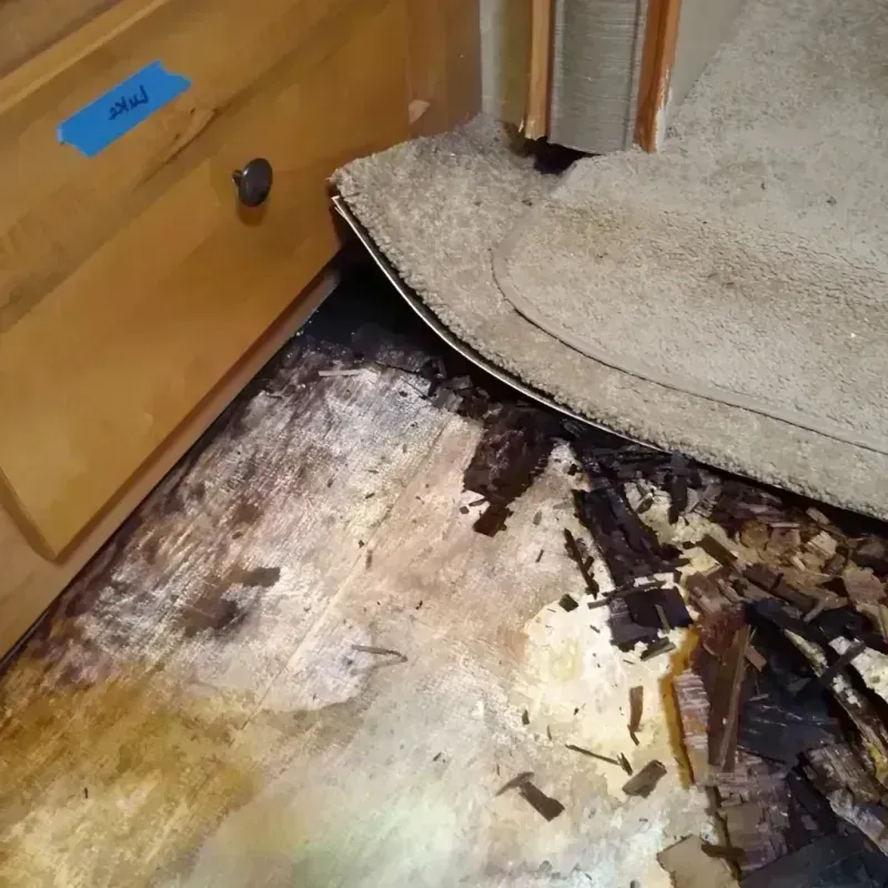 Wood Floor Water Damage in Alexandria, MN